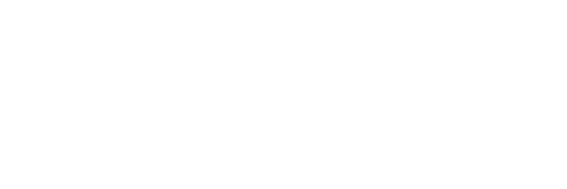 Toss Payments Logo